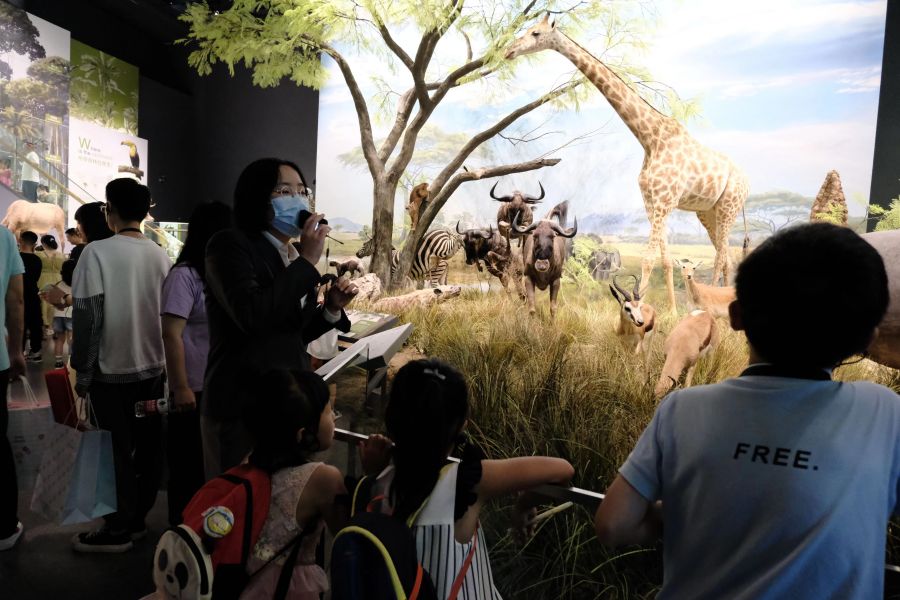 1685684965863979.jpg 373594541031a4478d94c8cd083fd26.jpg