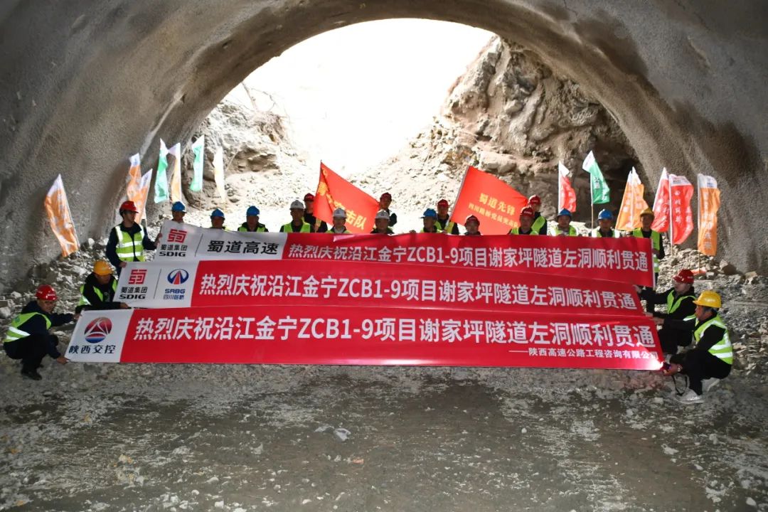 1706613298429419.jpg 3.jpg